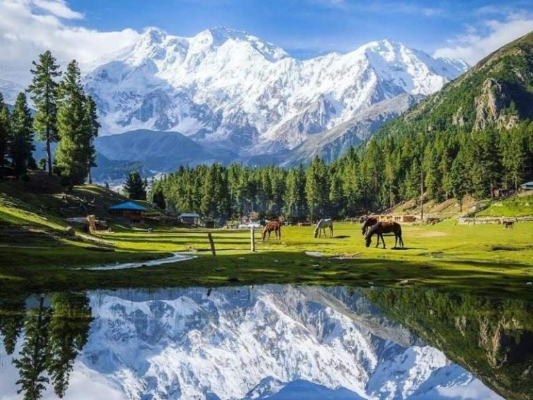 Fairy-Meadows