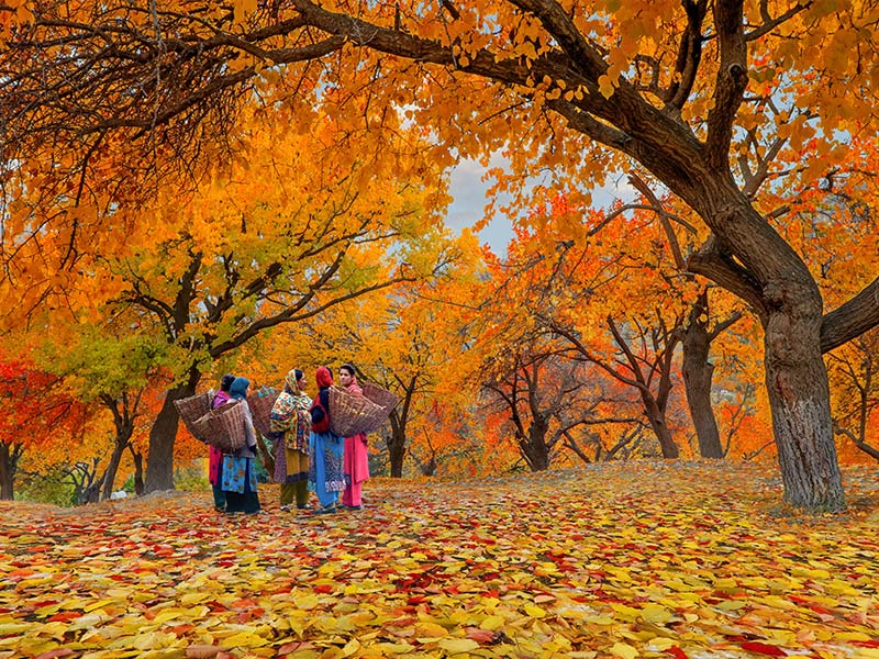 Hunza-valley-Tours