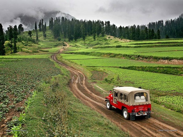 Jeep-Safari