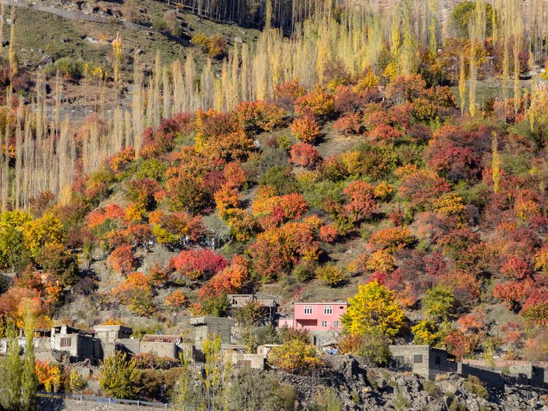 hunza-in-autumn